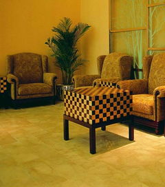 雅致空间点睛之笔 深圳森源家具集团贵宾接待室家具高清鉴赏